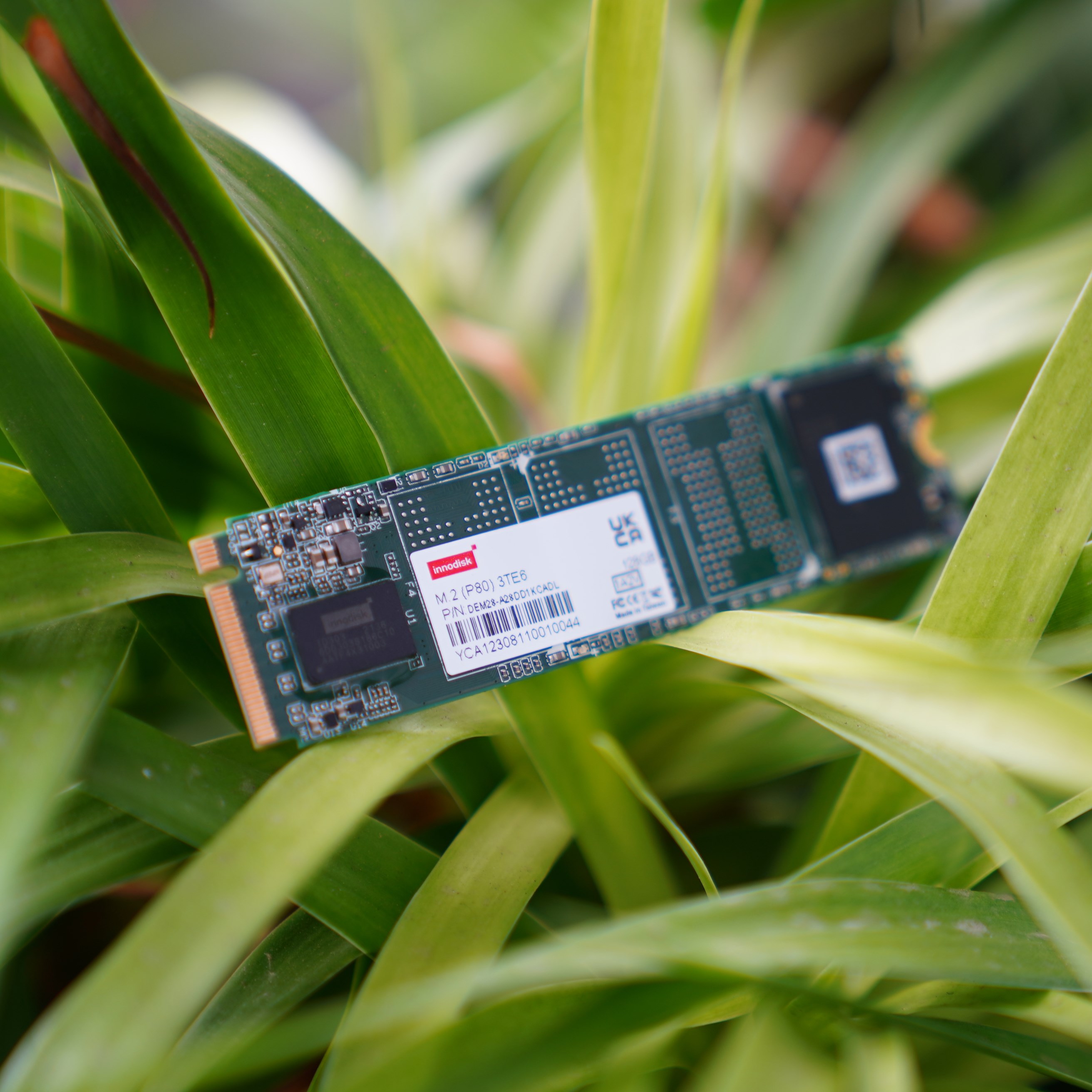 AI đang “nuốt” bộ nhớ: Vì sao DRAM và HBM bước vào chu kỳ tăng giá mạnh nhất thập kỷ?