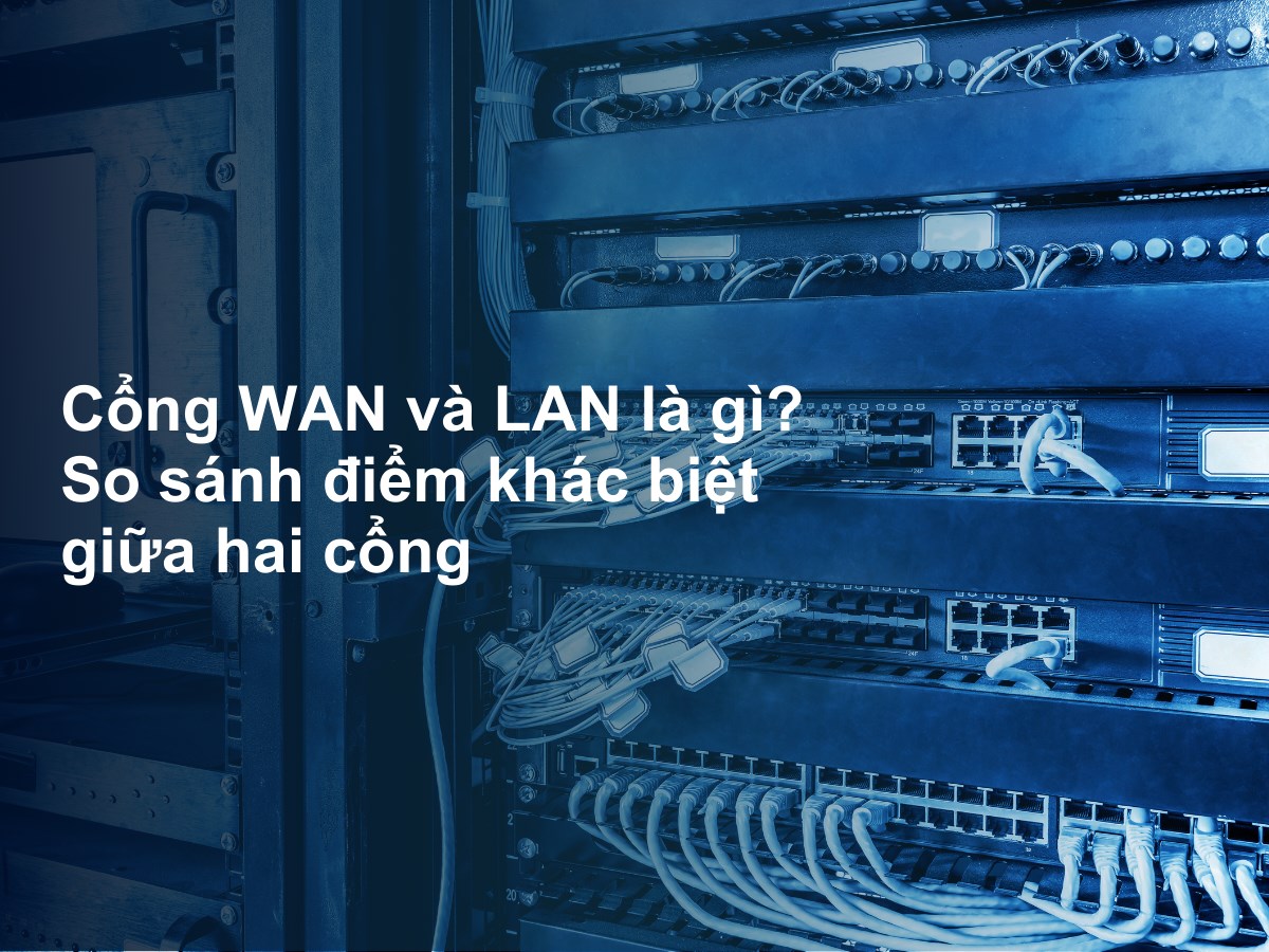 Cổng WAN và LAN là gì? So sánh điểm khác biệt giữa hai cổng