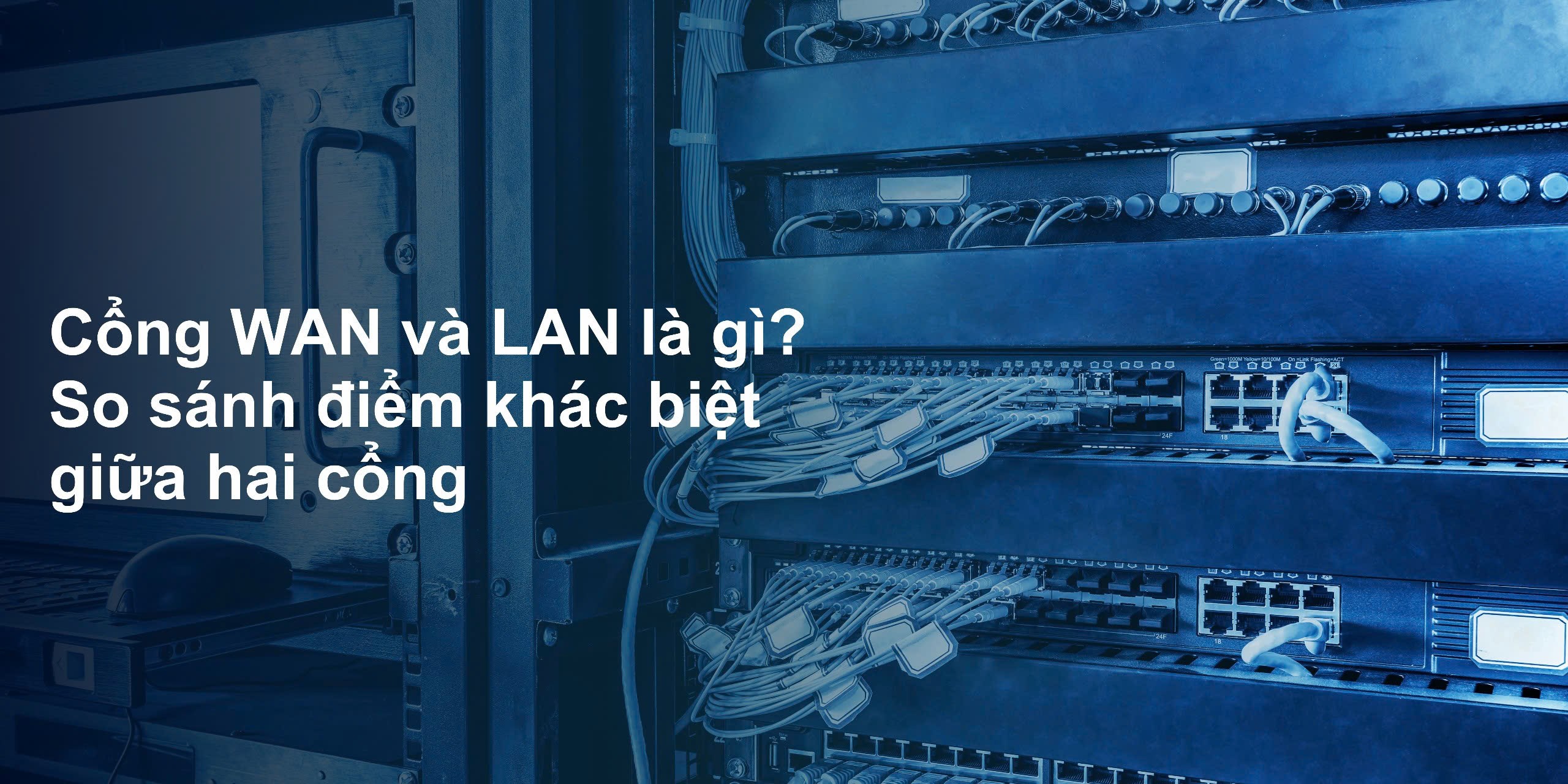 Cổng WAN và LAN là gì? So sánh điểm khác biệt giữa hai cổng